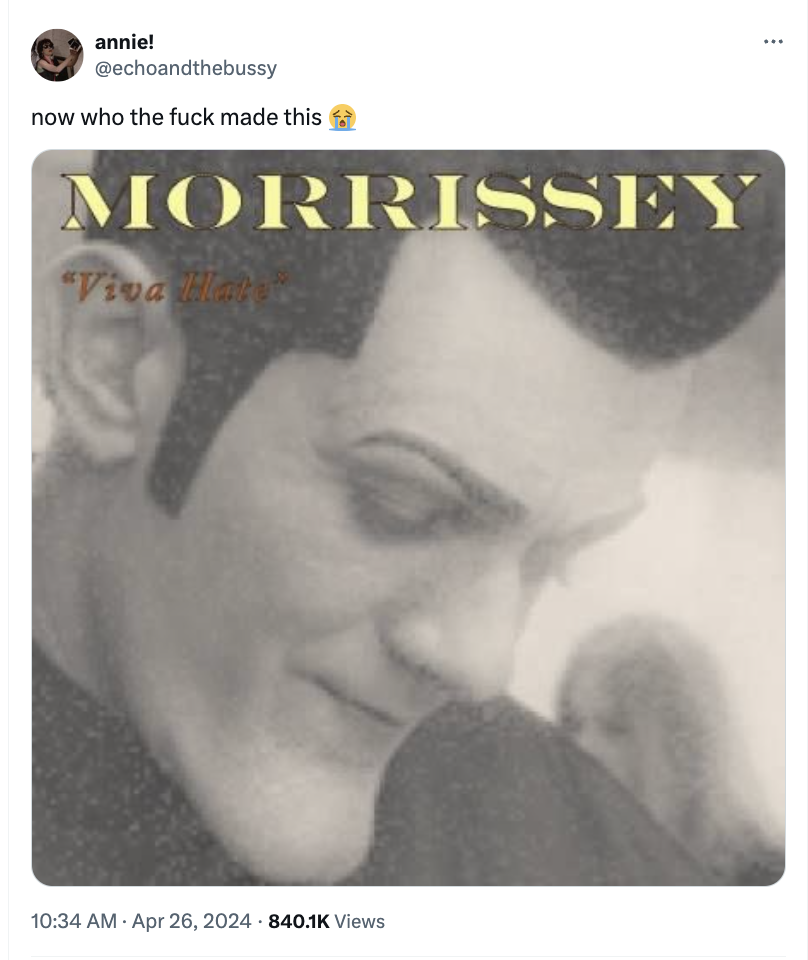 album cover - annie! now who the fuck made this Morrissey "Viva Hats Views